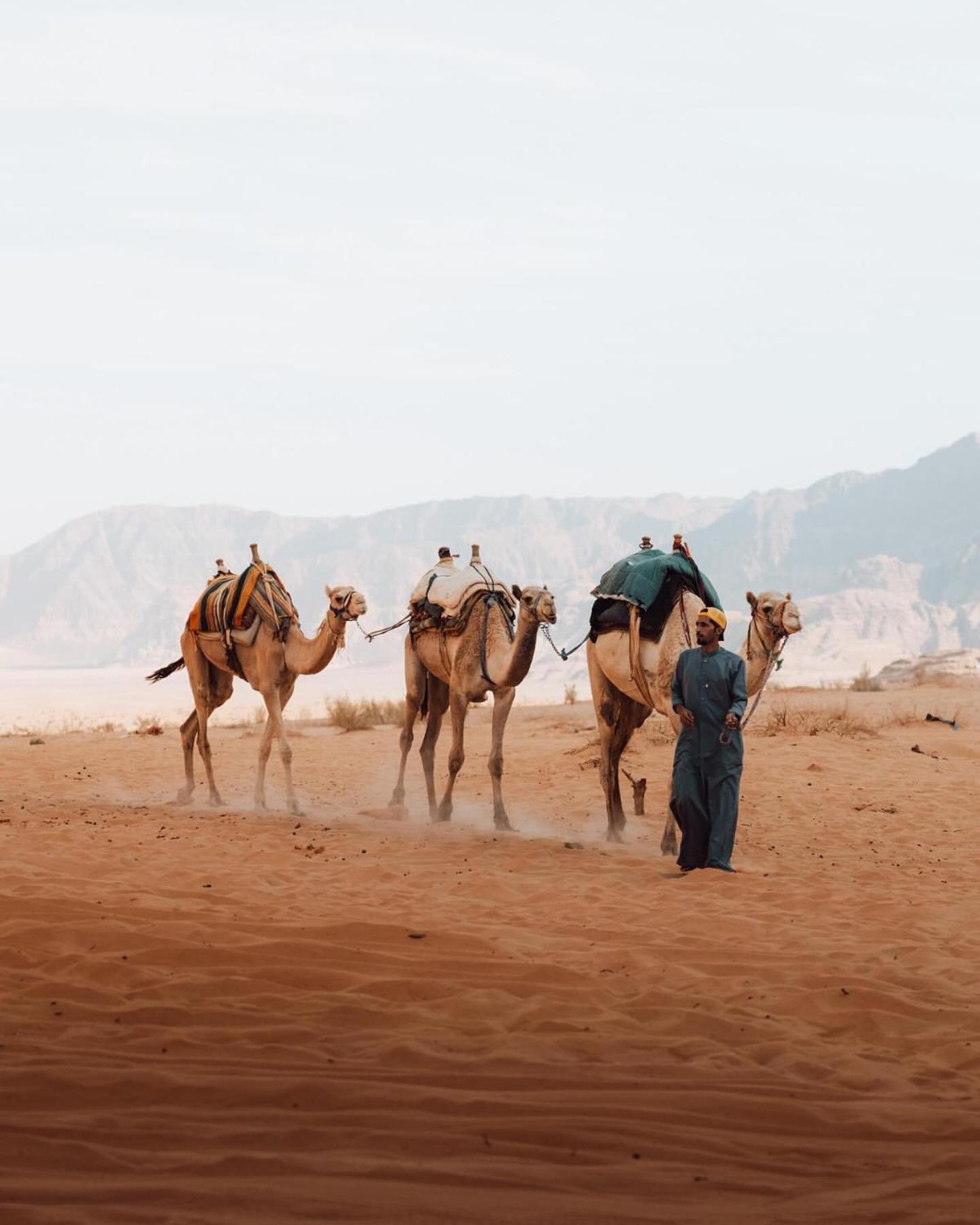 Rum Luxury Camp Wadi Rum Extérieur photo
