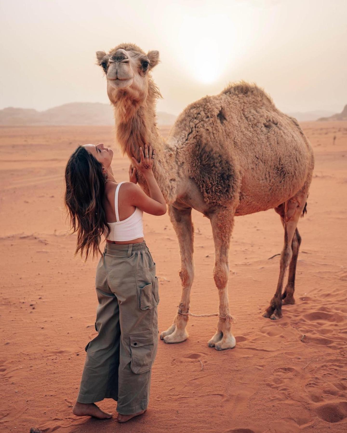 Rum Luxury Camp Wadi Rum Extérieur photo